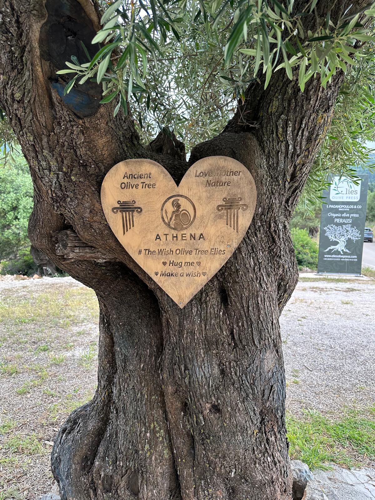 Elies Olive Press wish tree